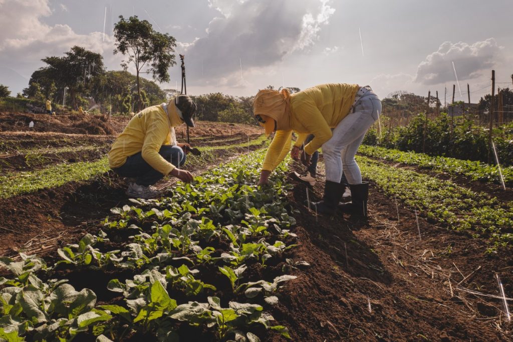 1628083811 camille lepage amag 018 1024x683