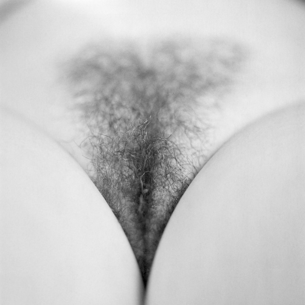 [EXPO] « Méduses » d&rsquo;Ida Jakobs – la Nuit Bleue (Quai des Savoirs)