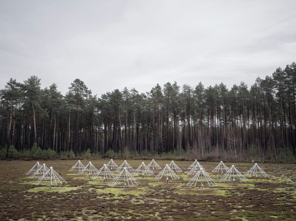 Pablo Gubitsch expose à la galerie Photon