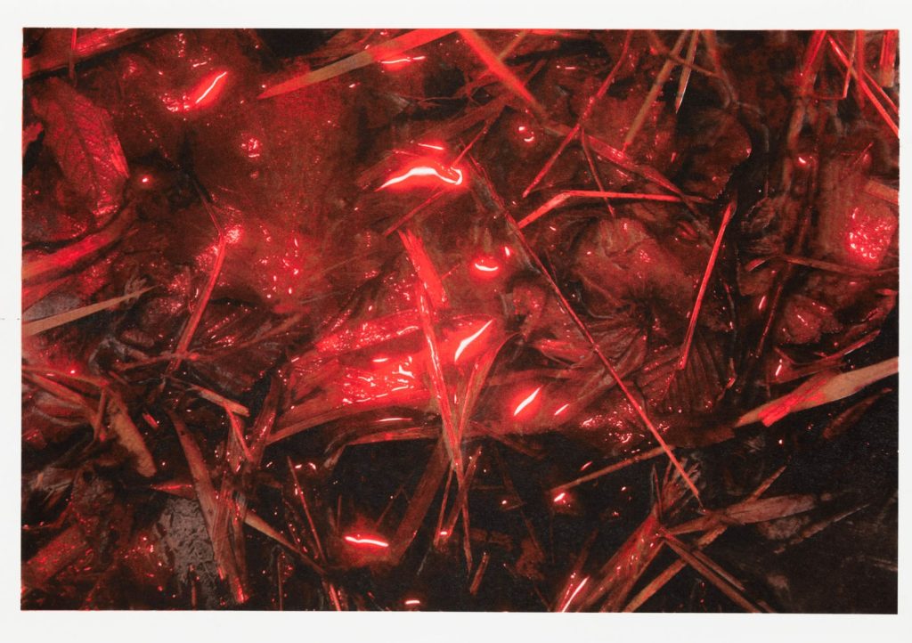 Un alumni à la Sorbonne : Recherche sans filtre