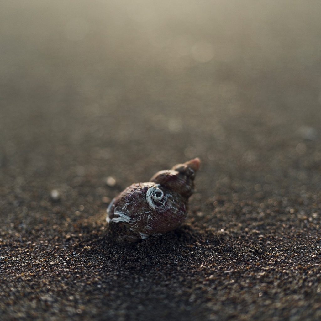 Cloé Harent, Lauréate du Prix Tremplin