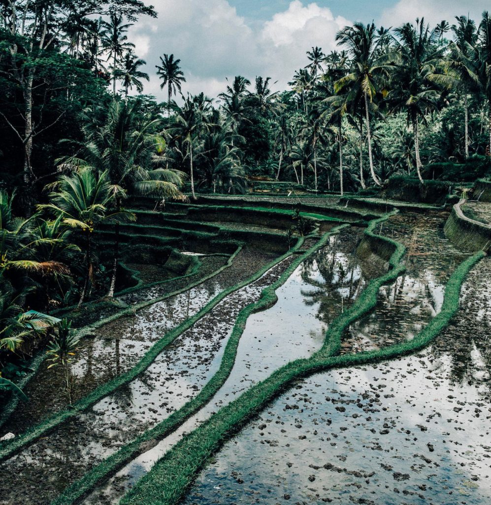 Laurent Nivalle : un passionné de l&rsquo;image