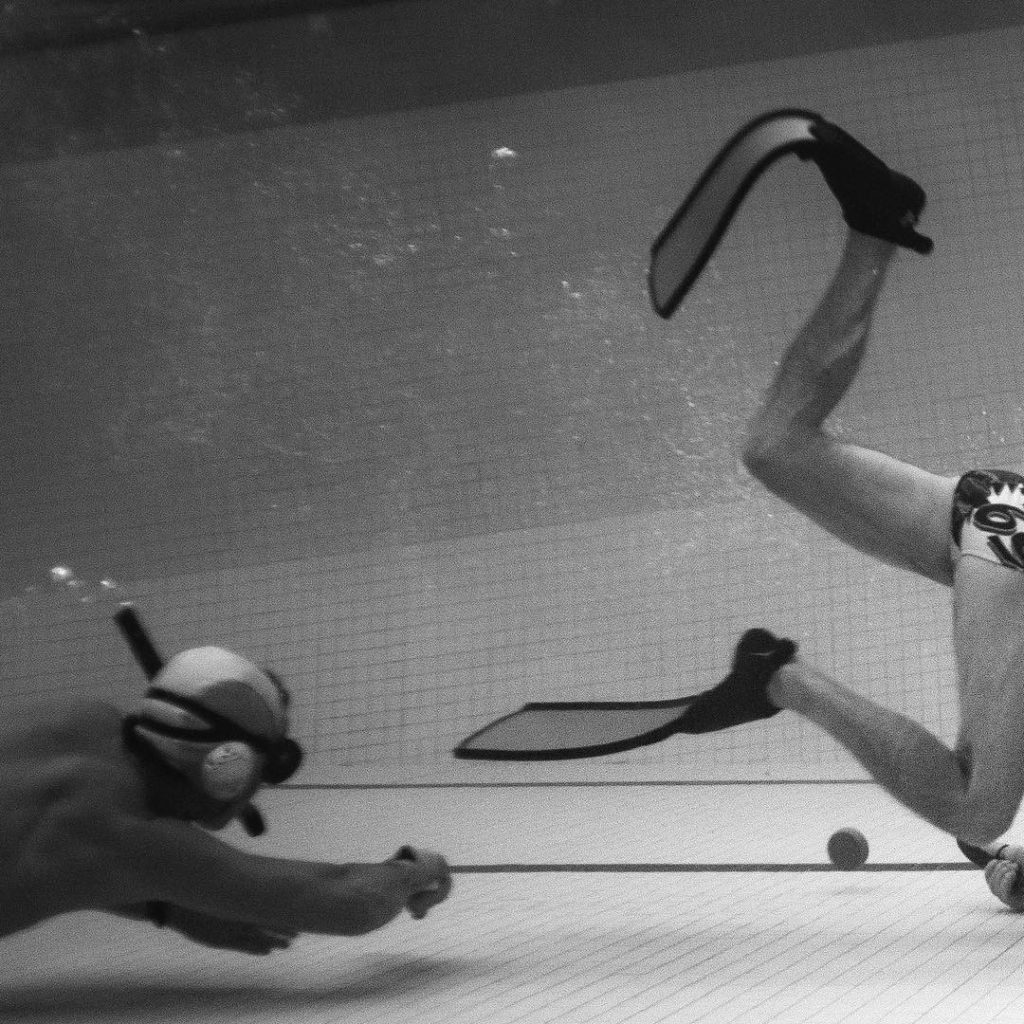 L&rsquo;univers aquatique de Laurent Farges