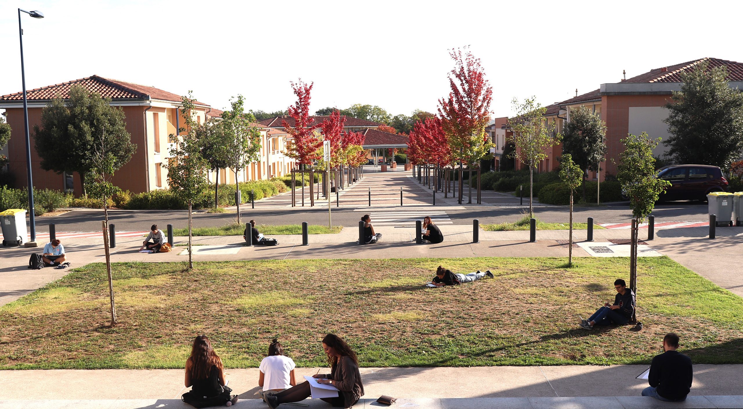 Des étudiants répartis sur une pelouse et des trottoirs, dessinant ou étudiant en extérieur dans un campus entouré d'arbres aux feuilles rouges en automne.