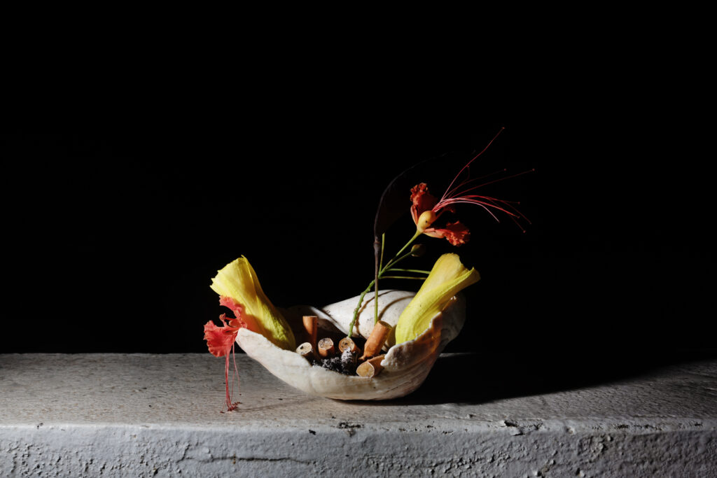 Clément Gatimel présente Ni là, ni loin pour le Mentorat Photographique