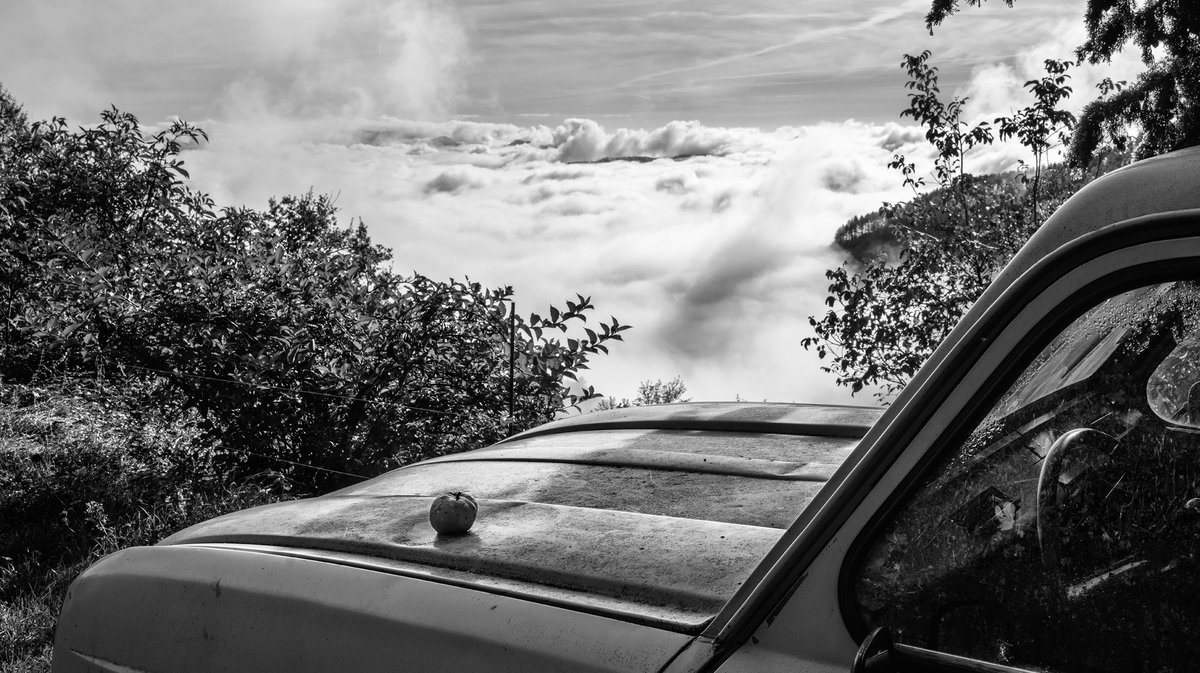 ETPA partenaire de l’exposition BUXBAUMIA de Cédric Gerbehaye