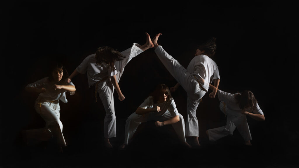 courboteulalie 4s 03 capoiera