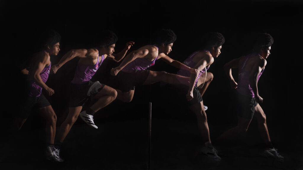 courboteulalie 4s 04 haies