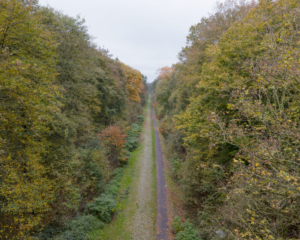 courboteulalie tl 07 0005