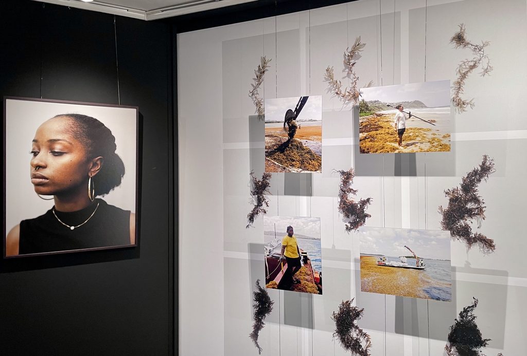 Matthieu Robin expose « Matière Brune » au Laboratoire Photon