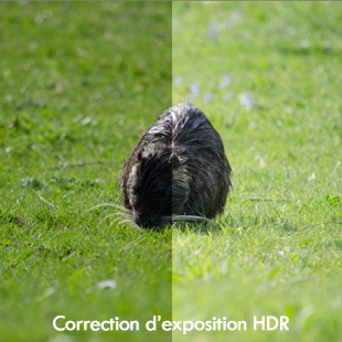 Correction d'exposition HDR sur une photo