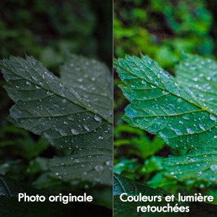 Différence entre image originale et image avec couleurs et lumière retouchées