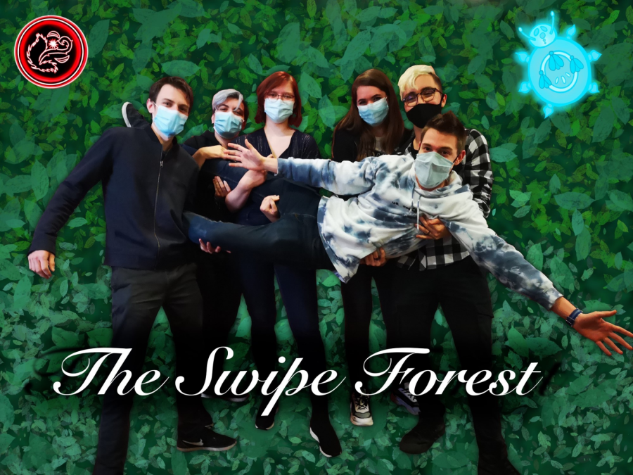 the-swipe-forest.png